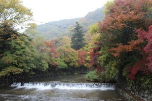 瑠璃光院 高野川の清流