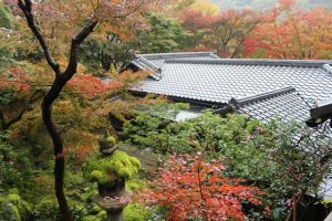 瑠璃光院 境内