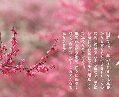 立春 暦の上 春の訪れ