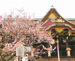 北野天満宮 梅
