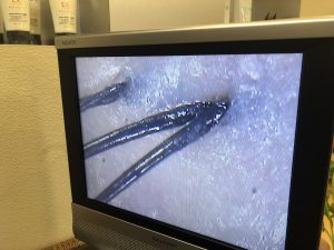 野田阪神駅前美容室